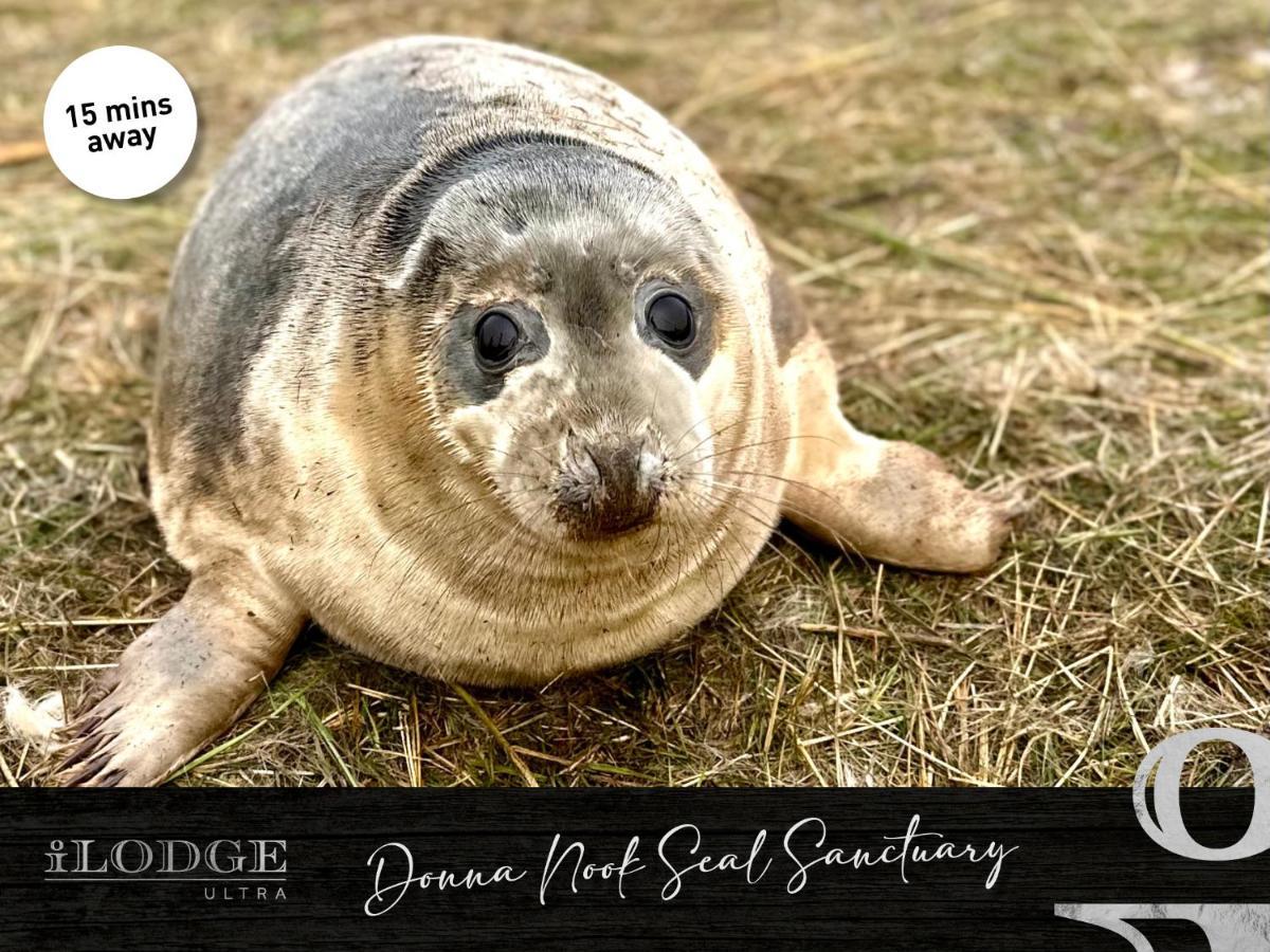 Ilodge Ultra ラウス エクステリア 写真